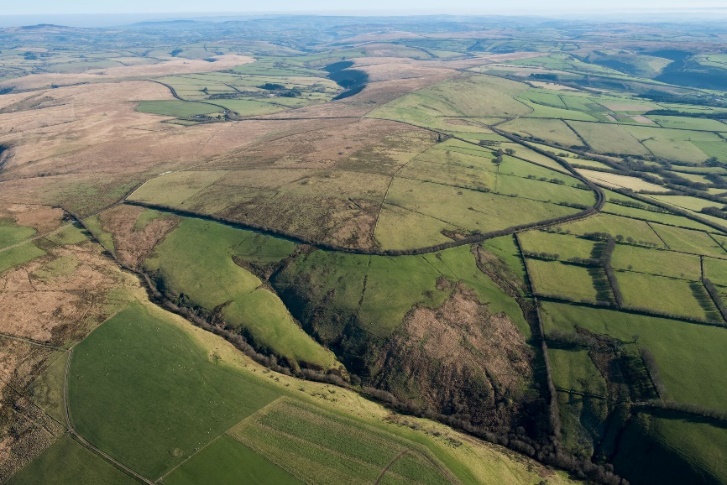 Protecting Peat Bogs and Peatlands | Historic England