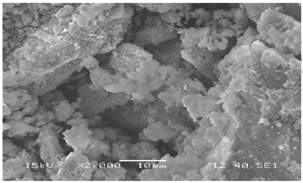 Close-up of a grey and white photo of a rock AI-generated content may be incorrect.